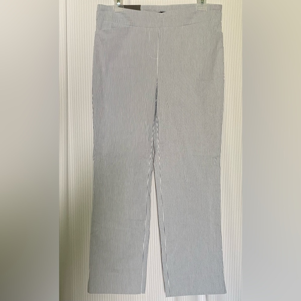 Hilary Radley Pull On Stretchy Casual Pants Blue and White Pinstripe Medium